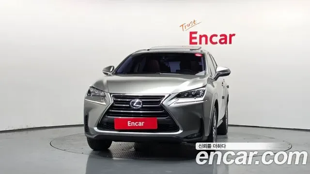 Lexus Nx NX300h, 2016 — фото 3