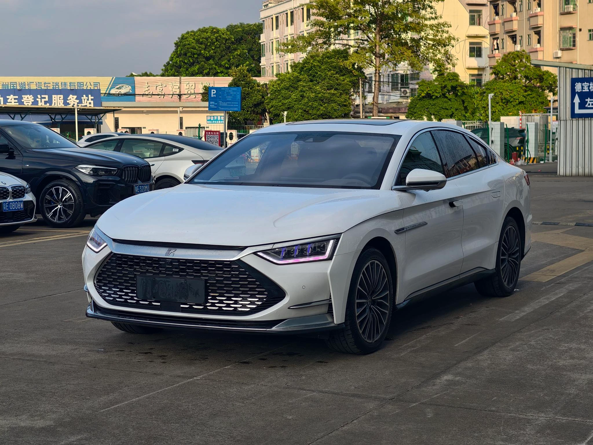 BYD Chinese DM