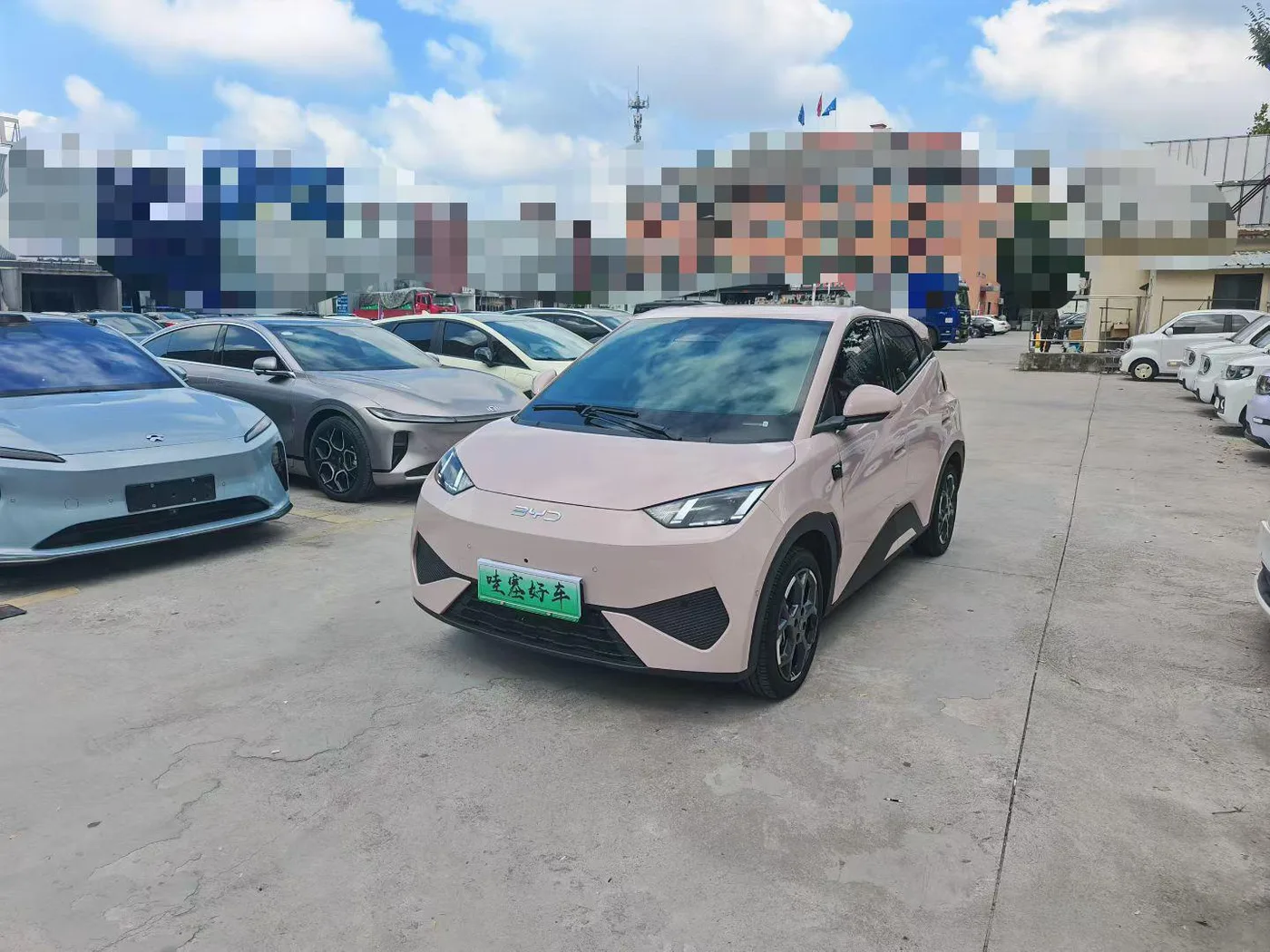 BYD seagull