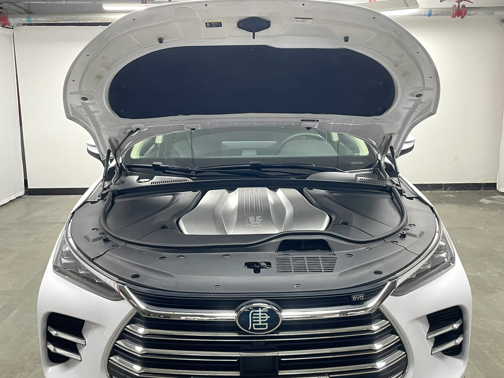 BYD Tang DM, 2019 — фото 17