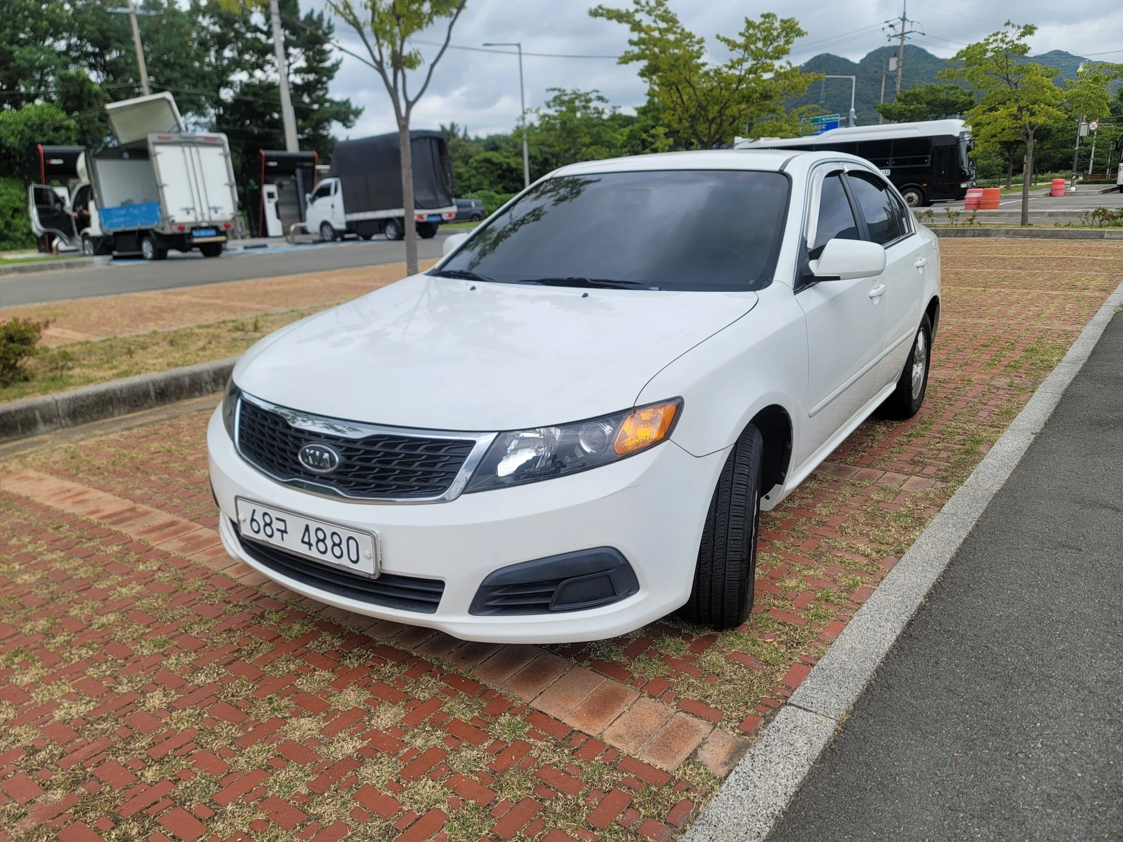 Kia Lotze Roche Innovation
