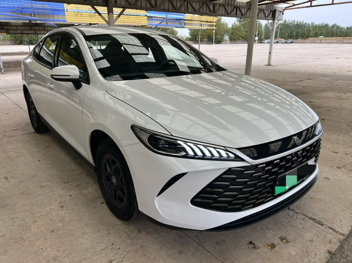 BYD Qin PLUS DM, 2026 — фото 3