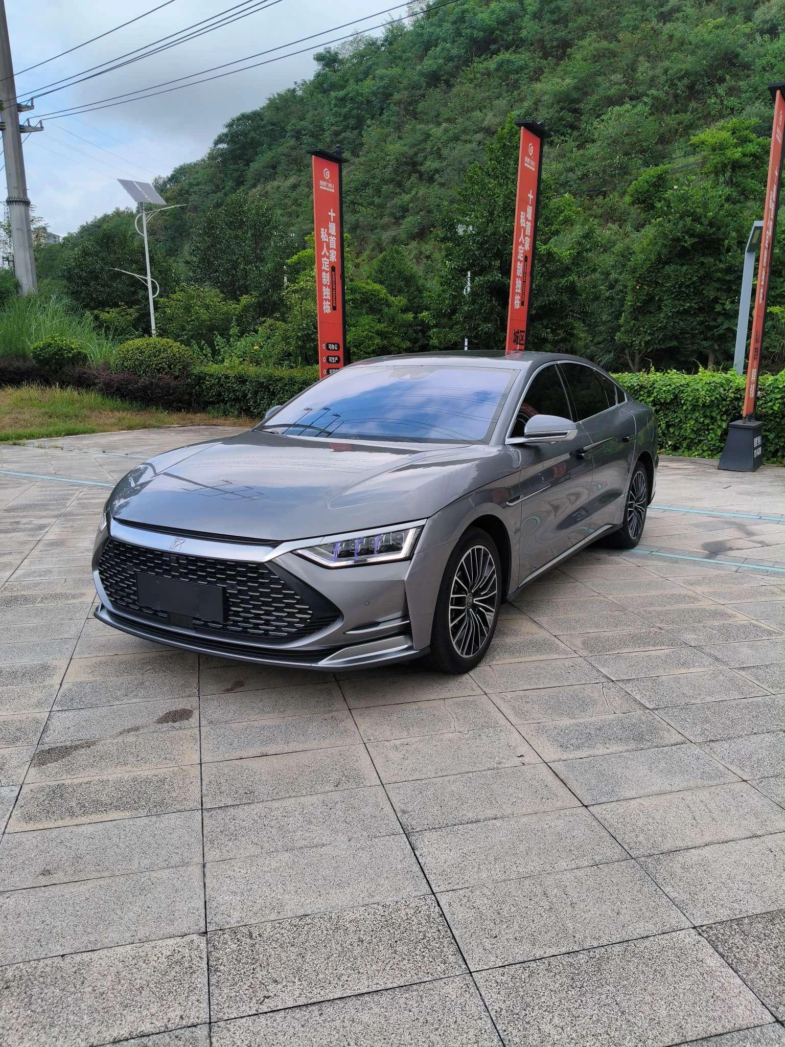 BYD Chinese DM