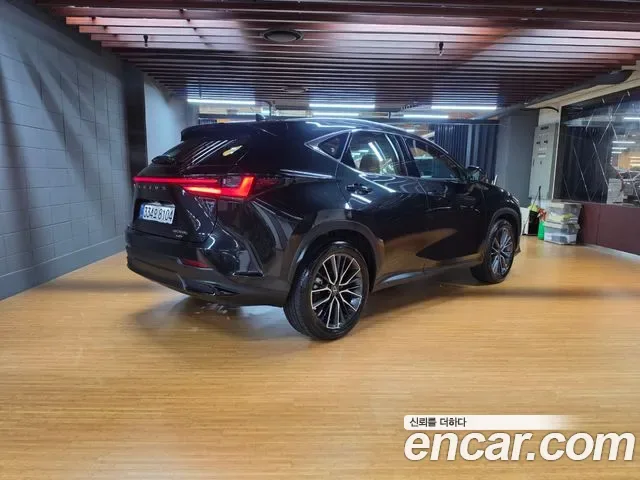 Lexus Nx NX350H, 2026 — фото 2