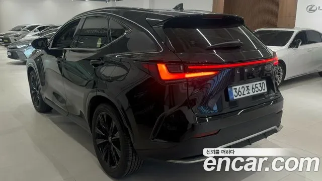 Lexus Nx Nx450h+, 2025 — фото 2
