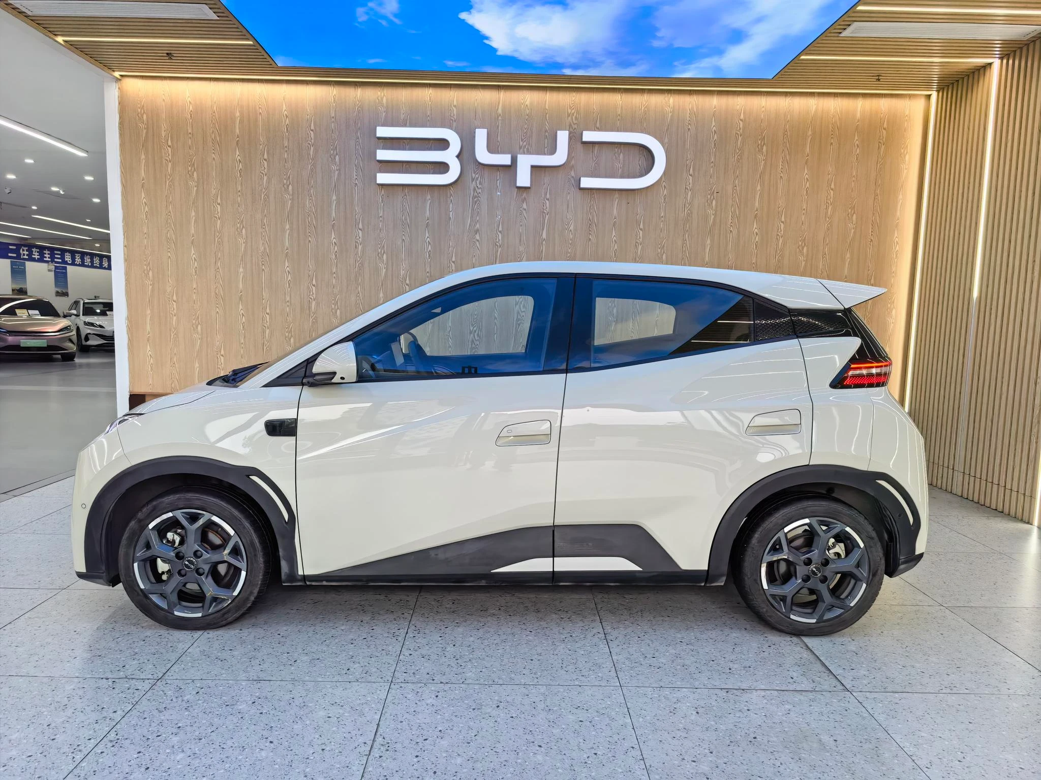 BYD seagull, 2025 — фото 3