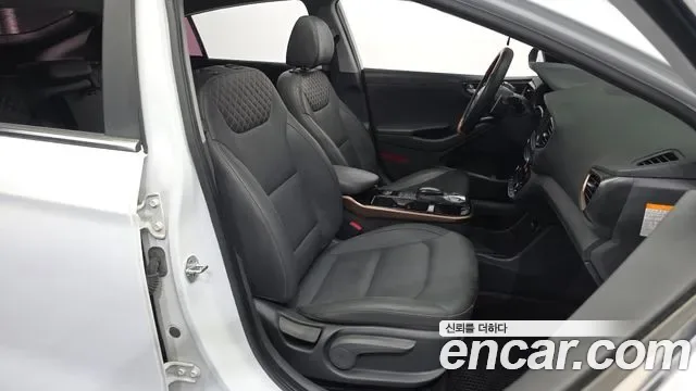 Hyundai Ioniq Ionic Electric, 2017 — фото 11