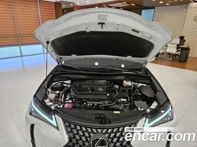Lexus Ux UX300h, 2025 — фото 8