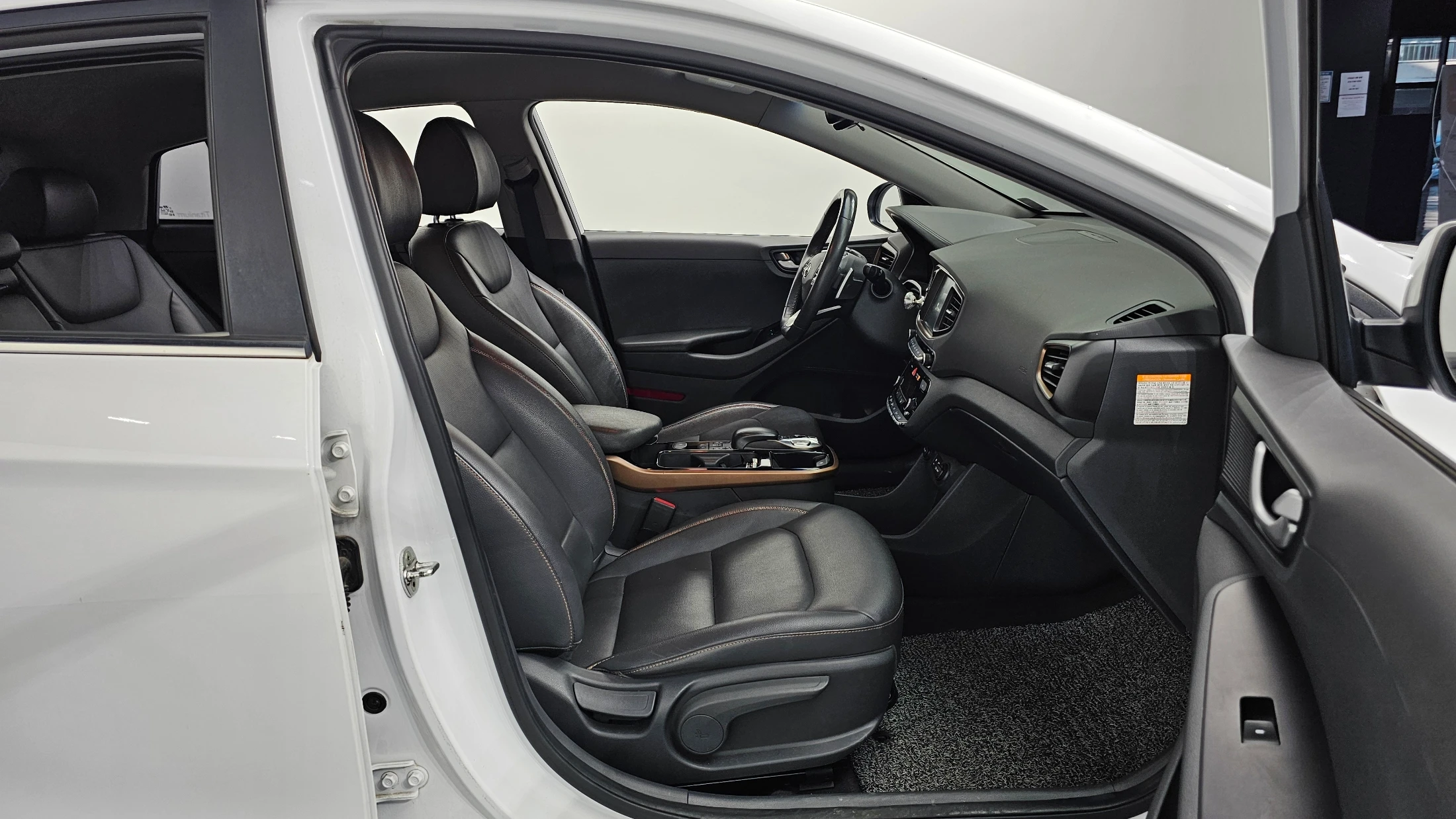 Hyundai Ioniq Ionic Electric, 2016 — фото 11