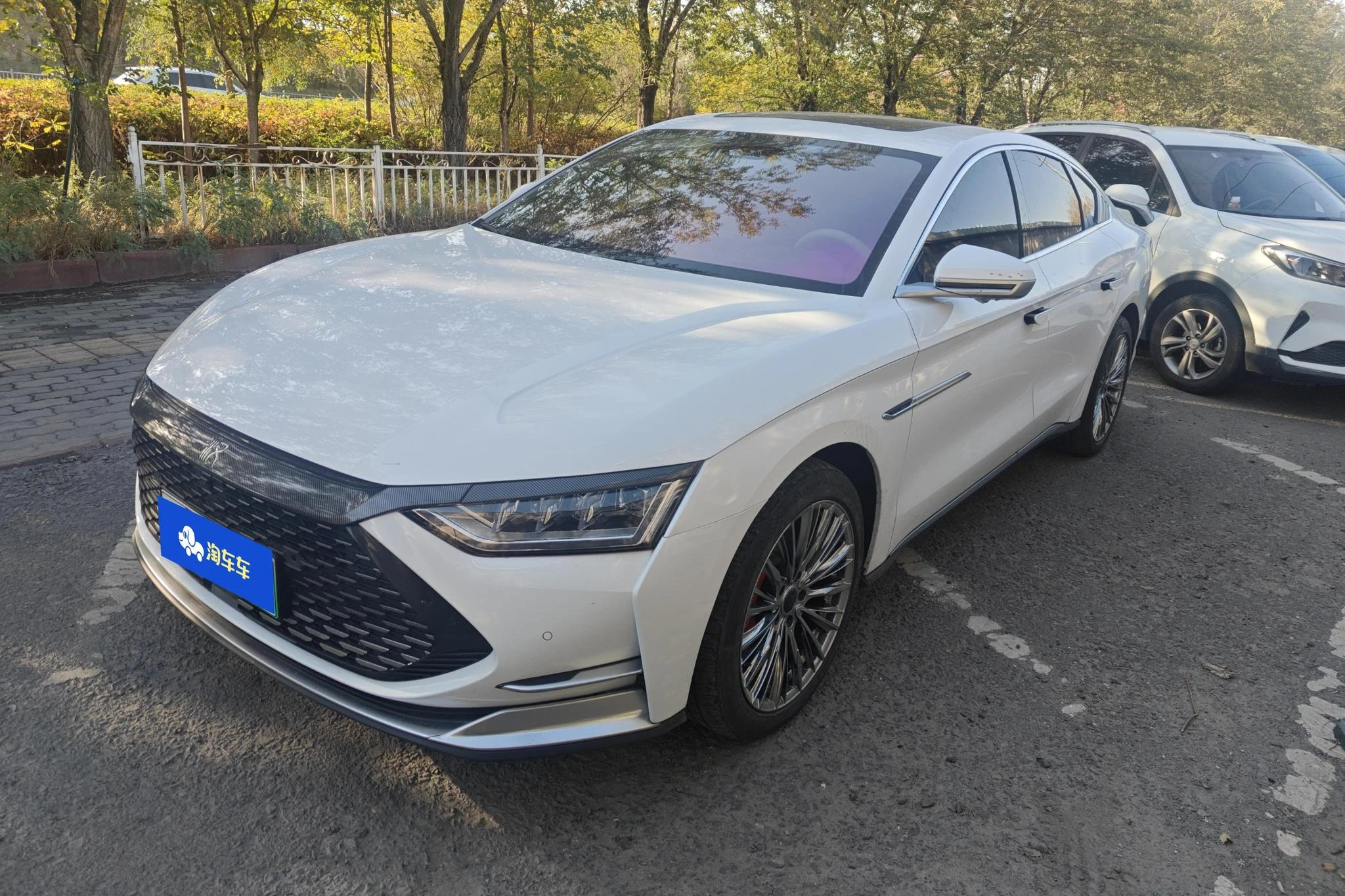 BYD Chinese DM