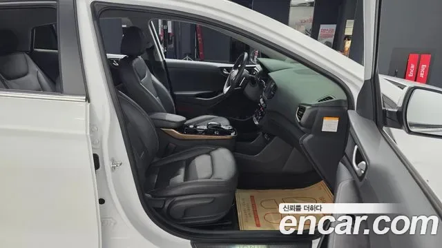 Hyundai Ioniq Ionic Electric, 2016 — фото 11