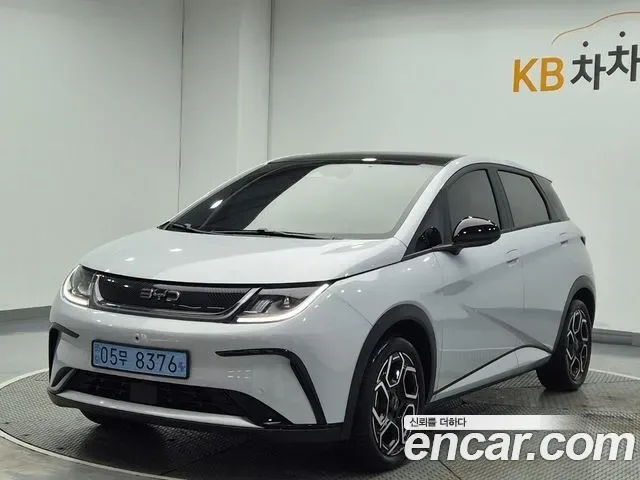 BYD Dolphin