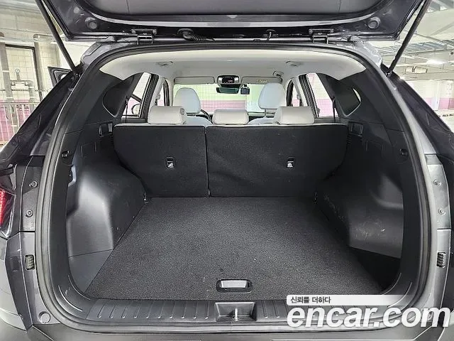 Hyundai Tucson NX4, 2024 — фото 14