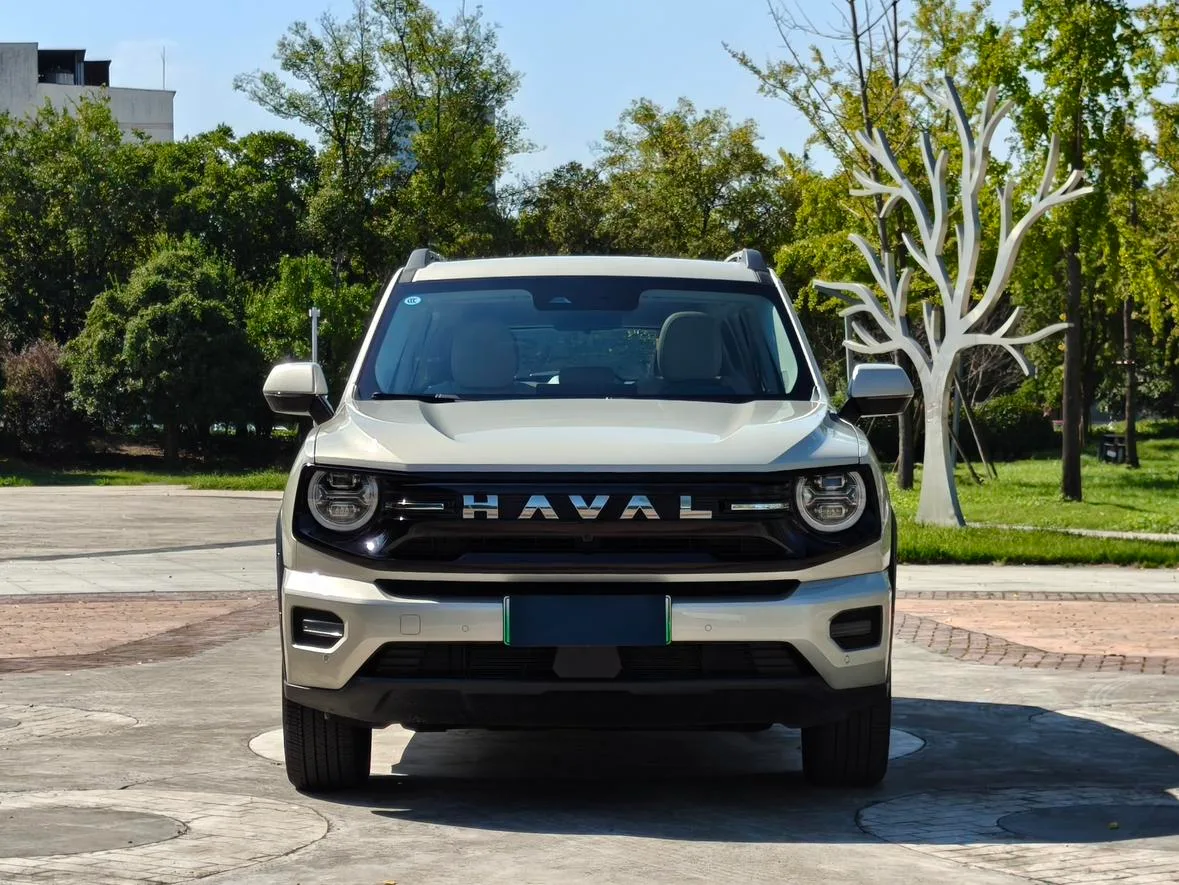 Haval Havaldog PLUS PHEV, 2026 — фото 2
