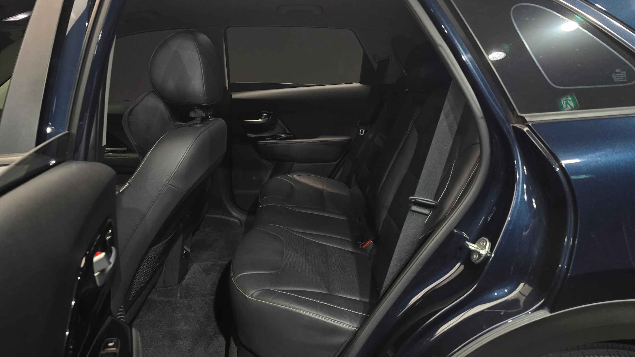 Kia Niro EV, 2019 — фото 12