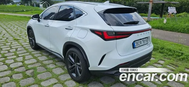 Lexus Nx NX350H, 2026 — фото 4
