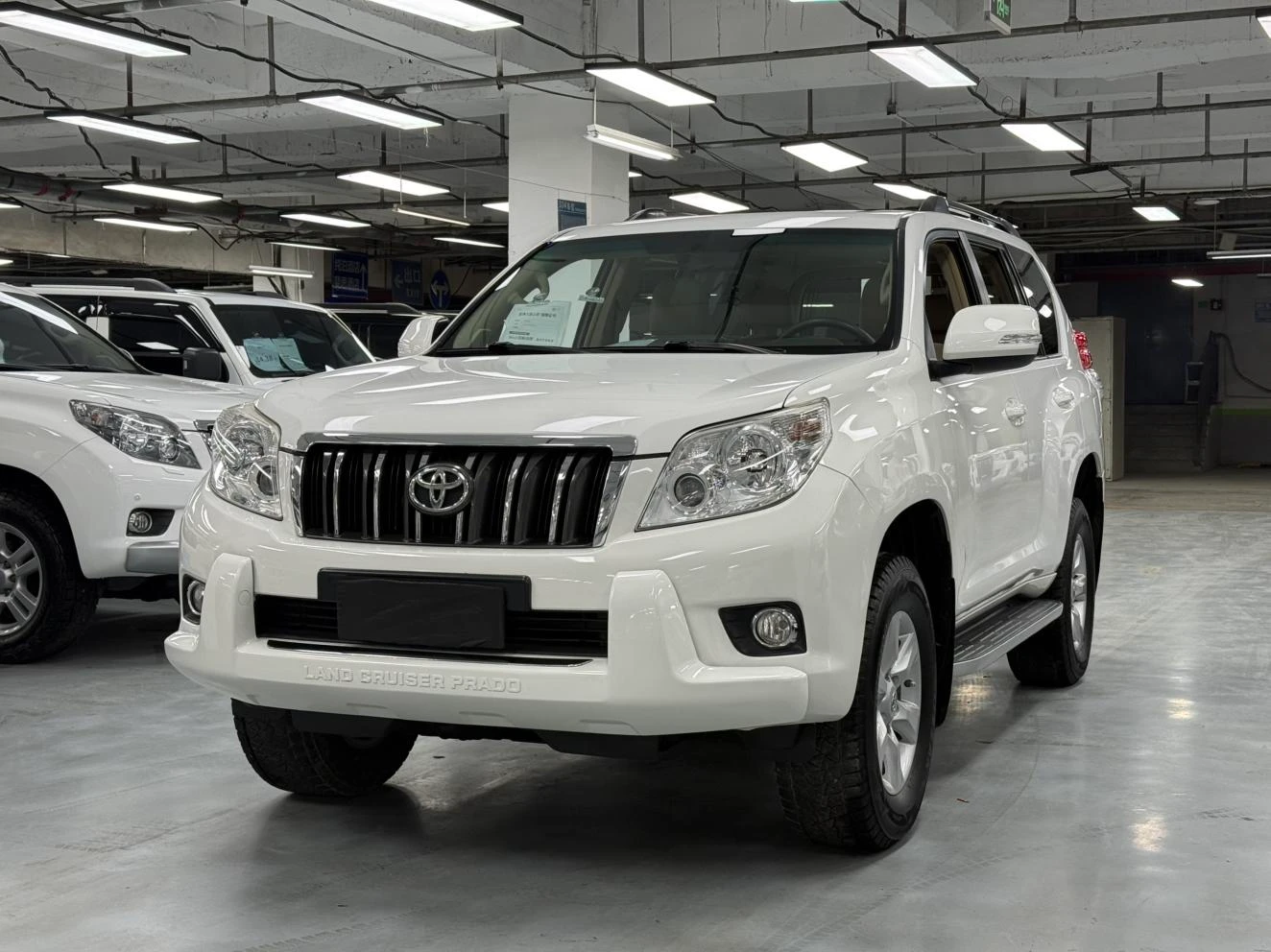 Toyota prado