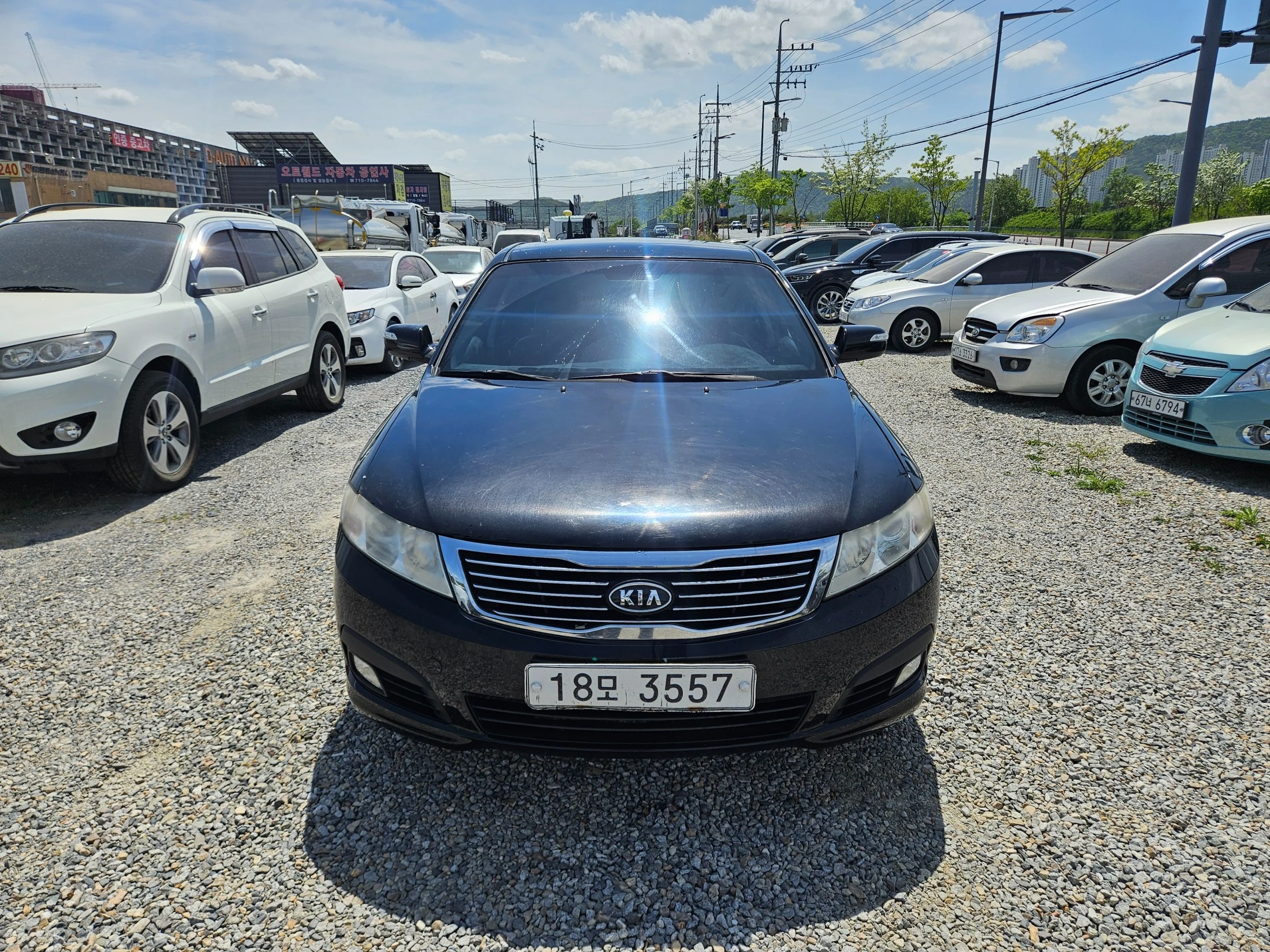 Kia Lotze Roche Innovation