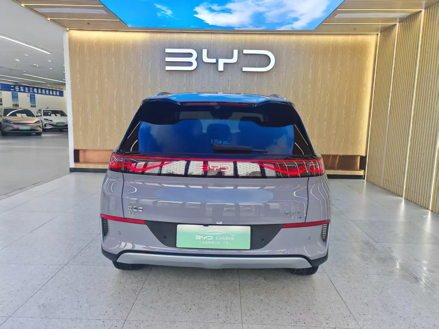 BYD Hiace 05EV, 2025 — фото 4