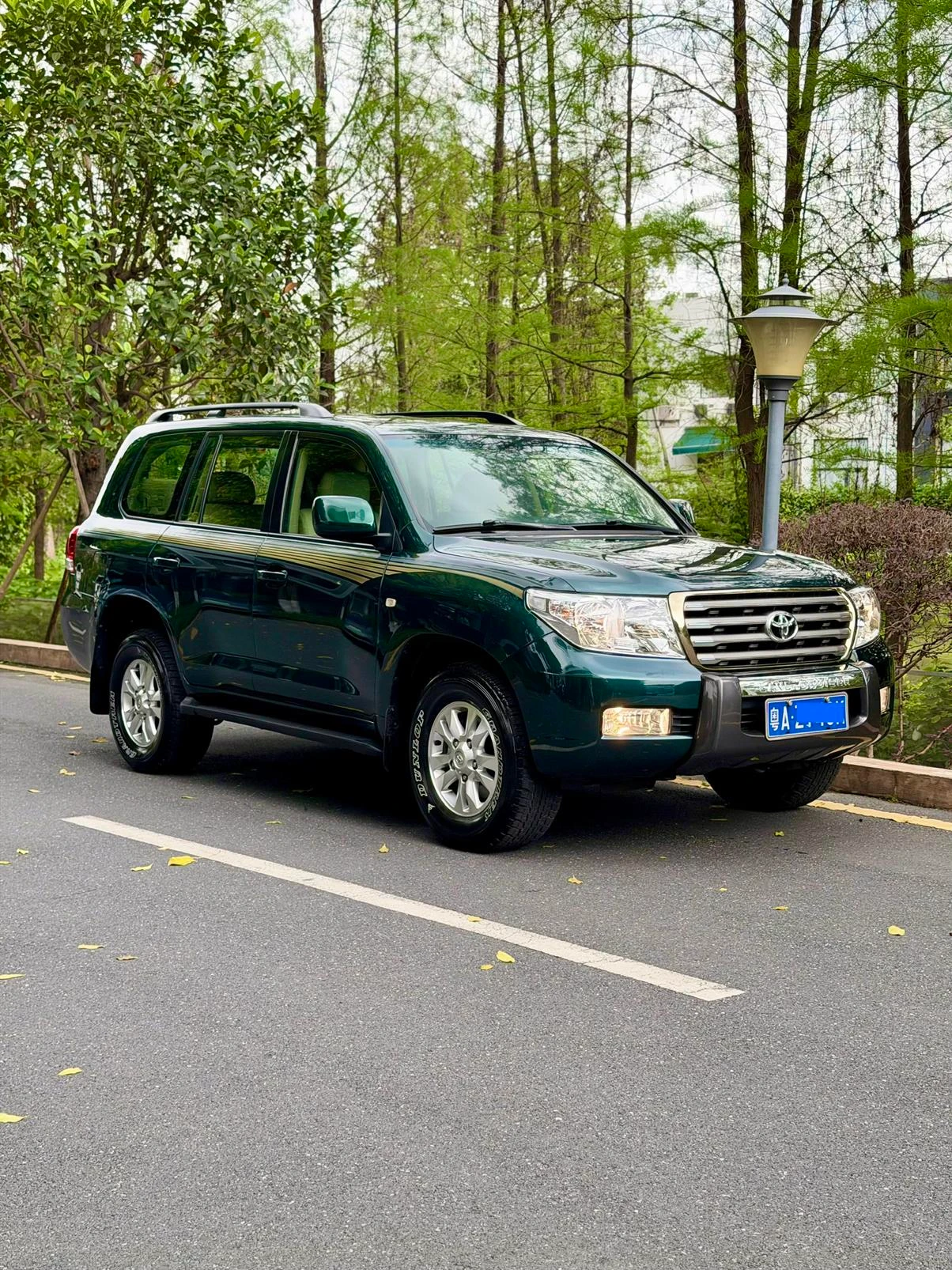 Toyota Land Cruiser, 2010 — фото 8