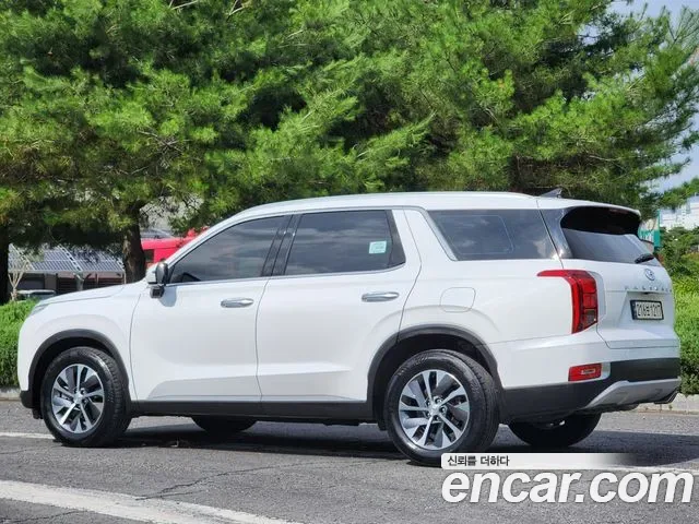 Hyundai Palisade, 2019 — фото 6