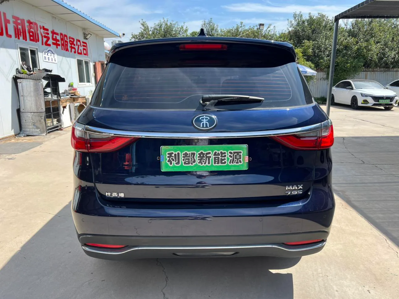 BYD SongMAX DM, 2019 — фото 5