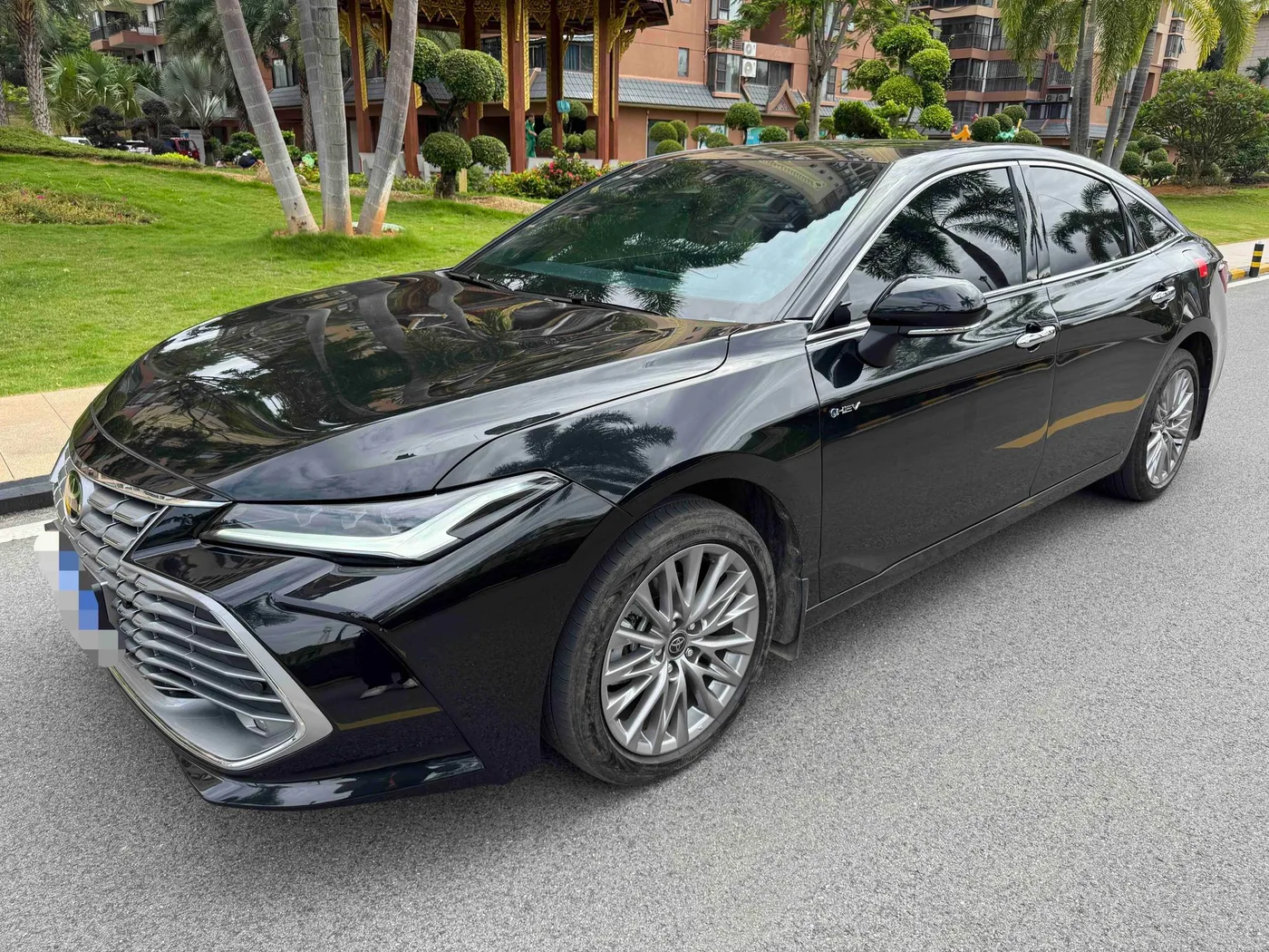 Toyota asian dragon