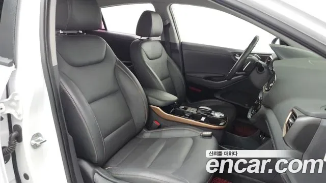 Hyundai Ioniq Ionic Electric, 2016 — фото 18