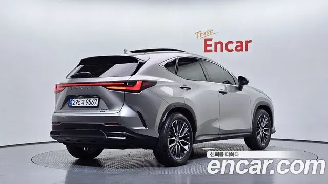 Lexus Nx NX350H, 2025 — фото 2