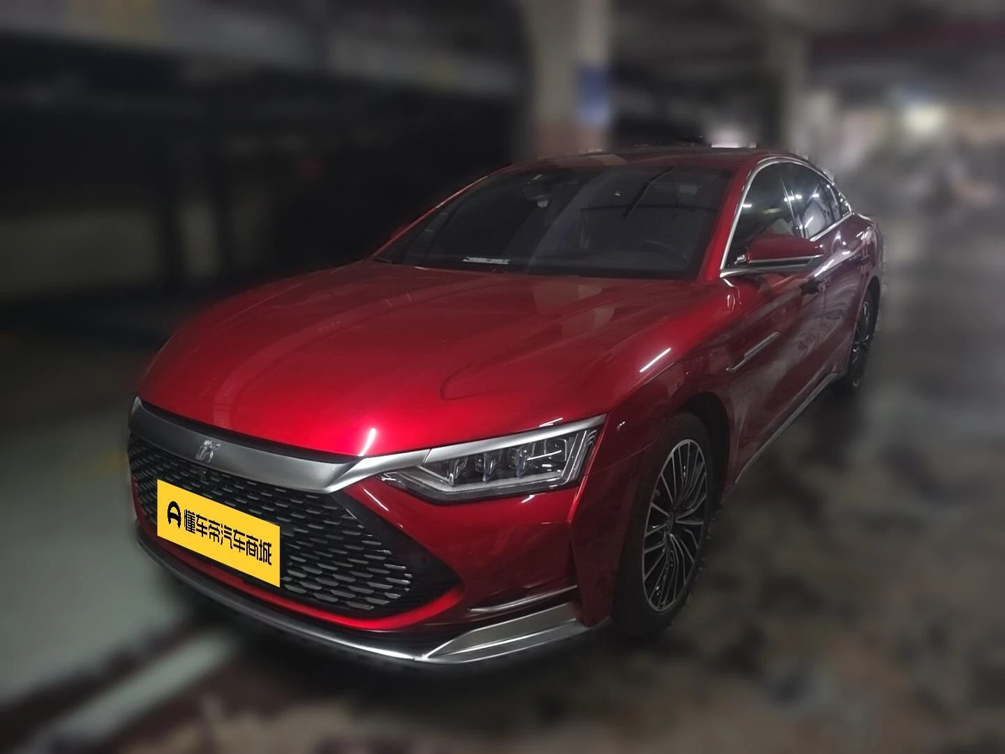 BYD Chinese DM