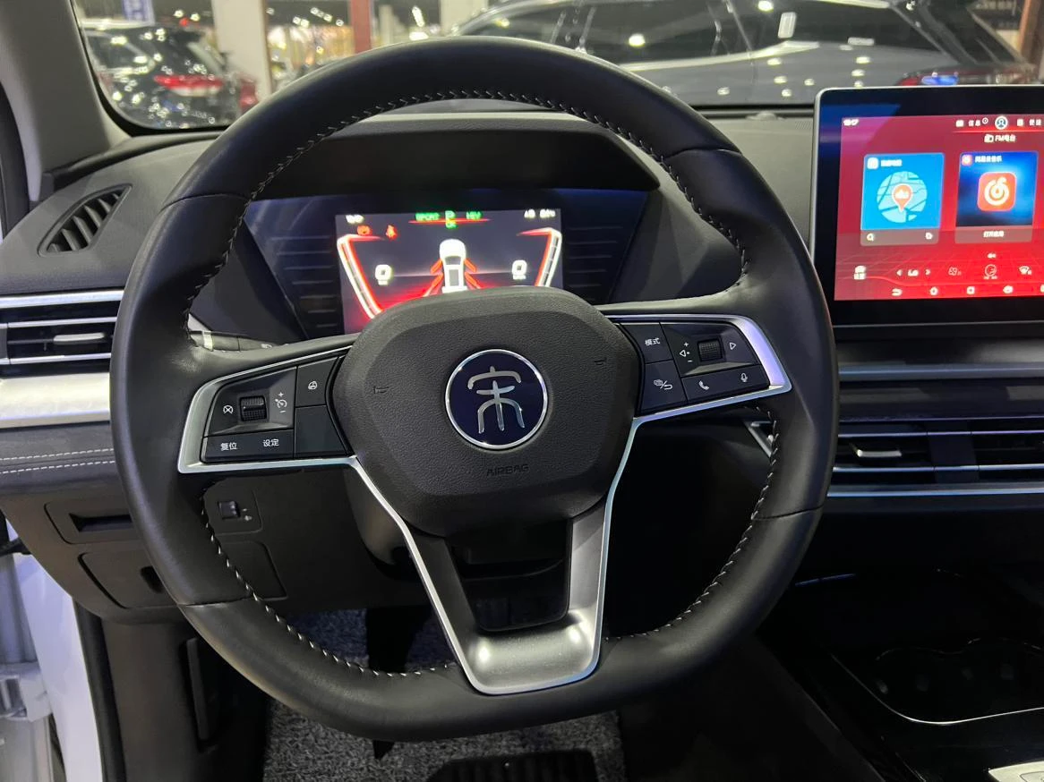 BYD Song Pro DM, 2019 — фото 17