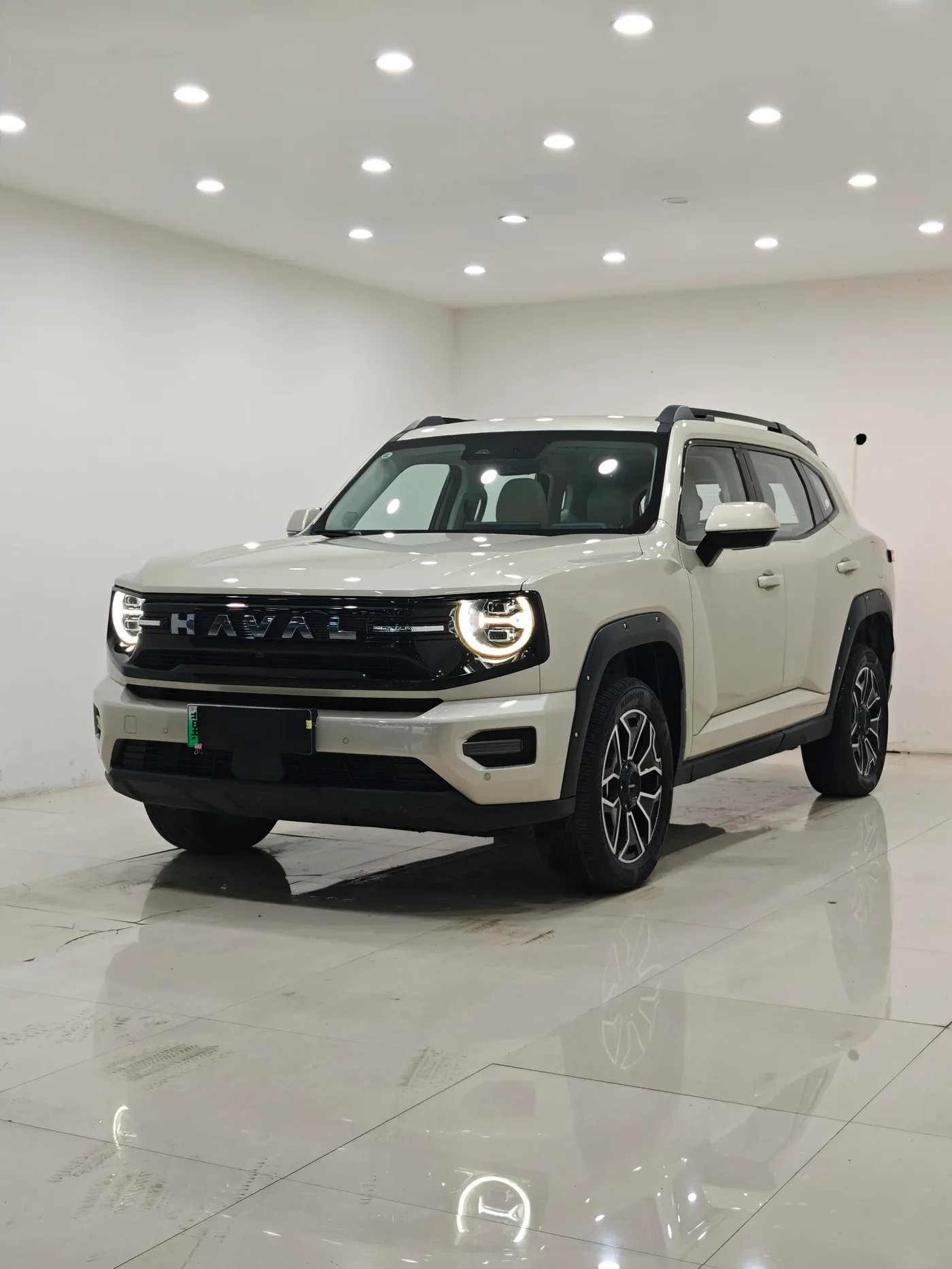 Haval Havaldog PLUS PHEV