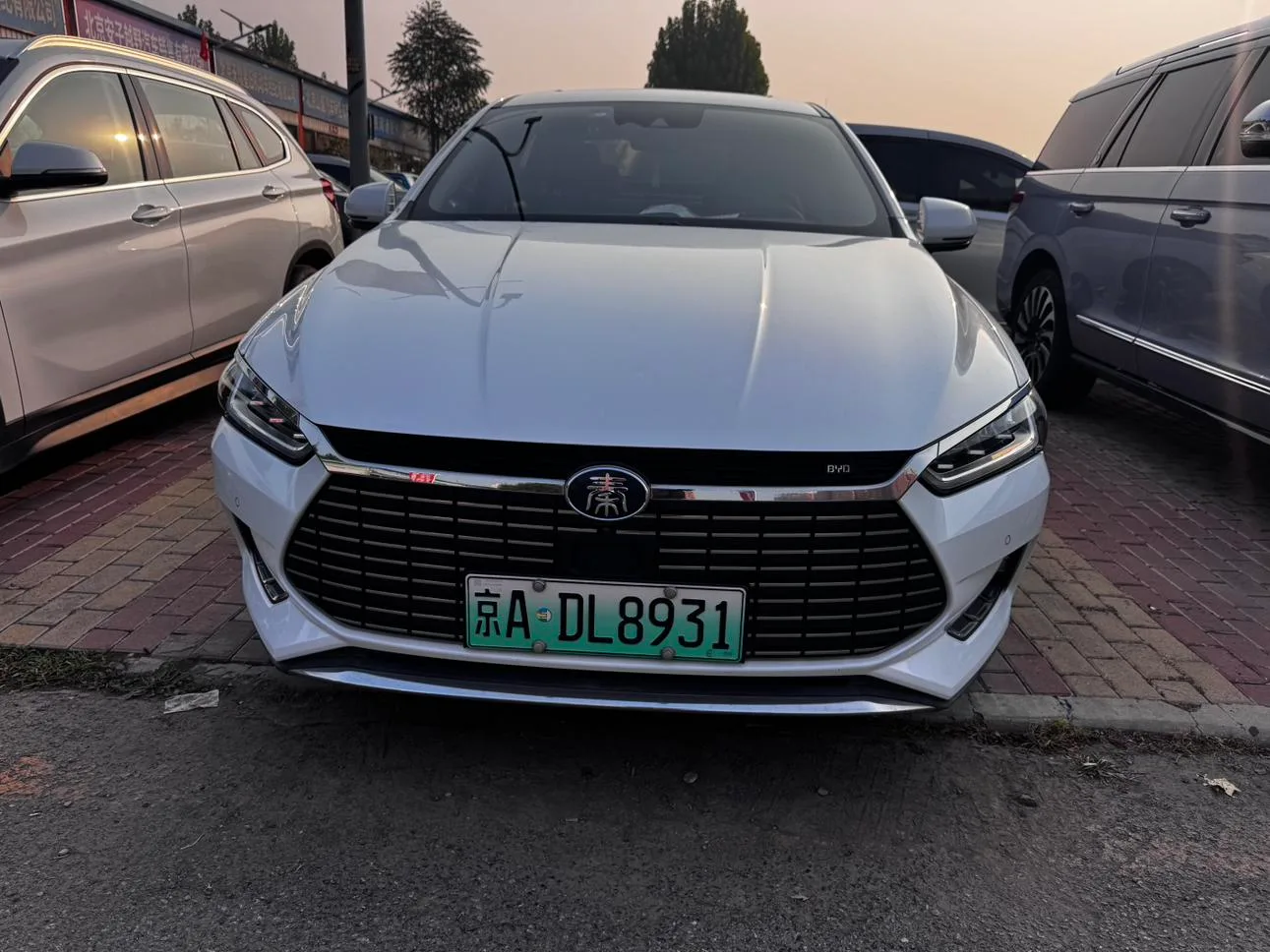 BYD Qin Pro EV, 2018 — фото 2