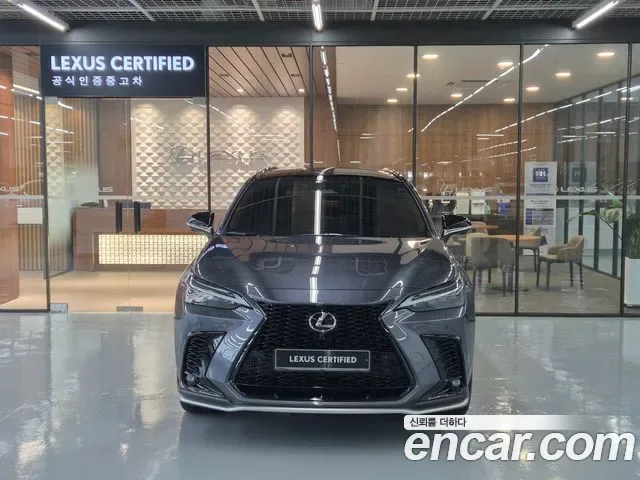 Lexus Nx Nx450h+, 2025 — фото 3