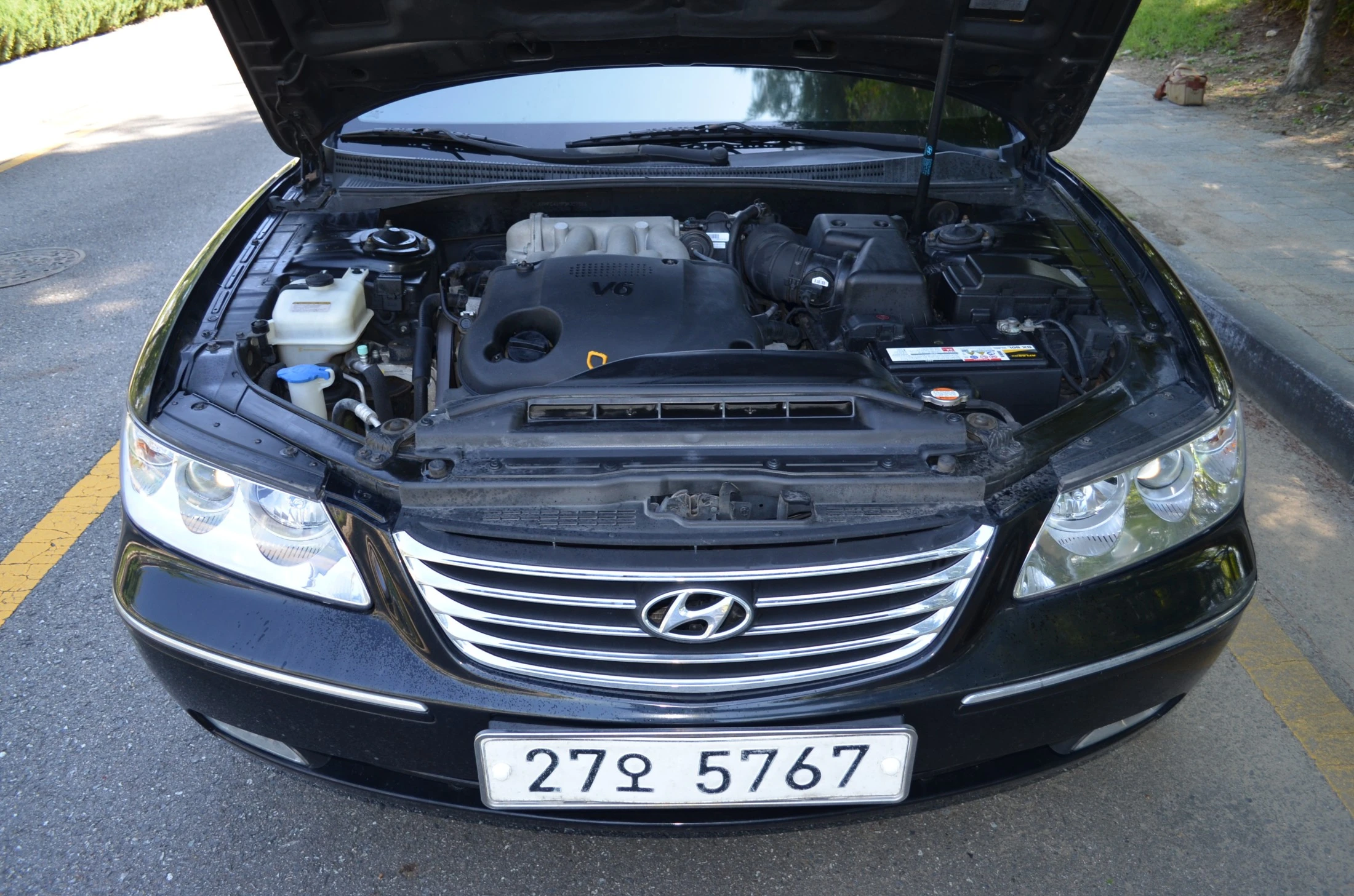 Hyundai Grandeur New Luxury, 2008 — фото 4