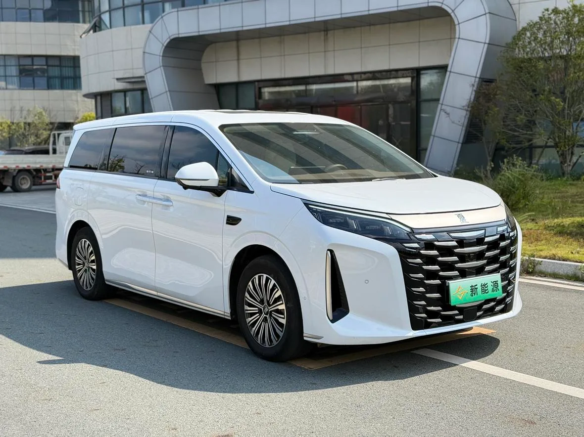 BYD summer, 2025 — фото 3