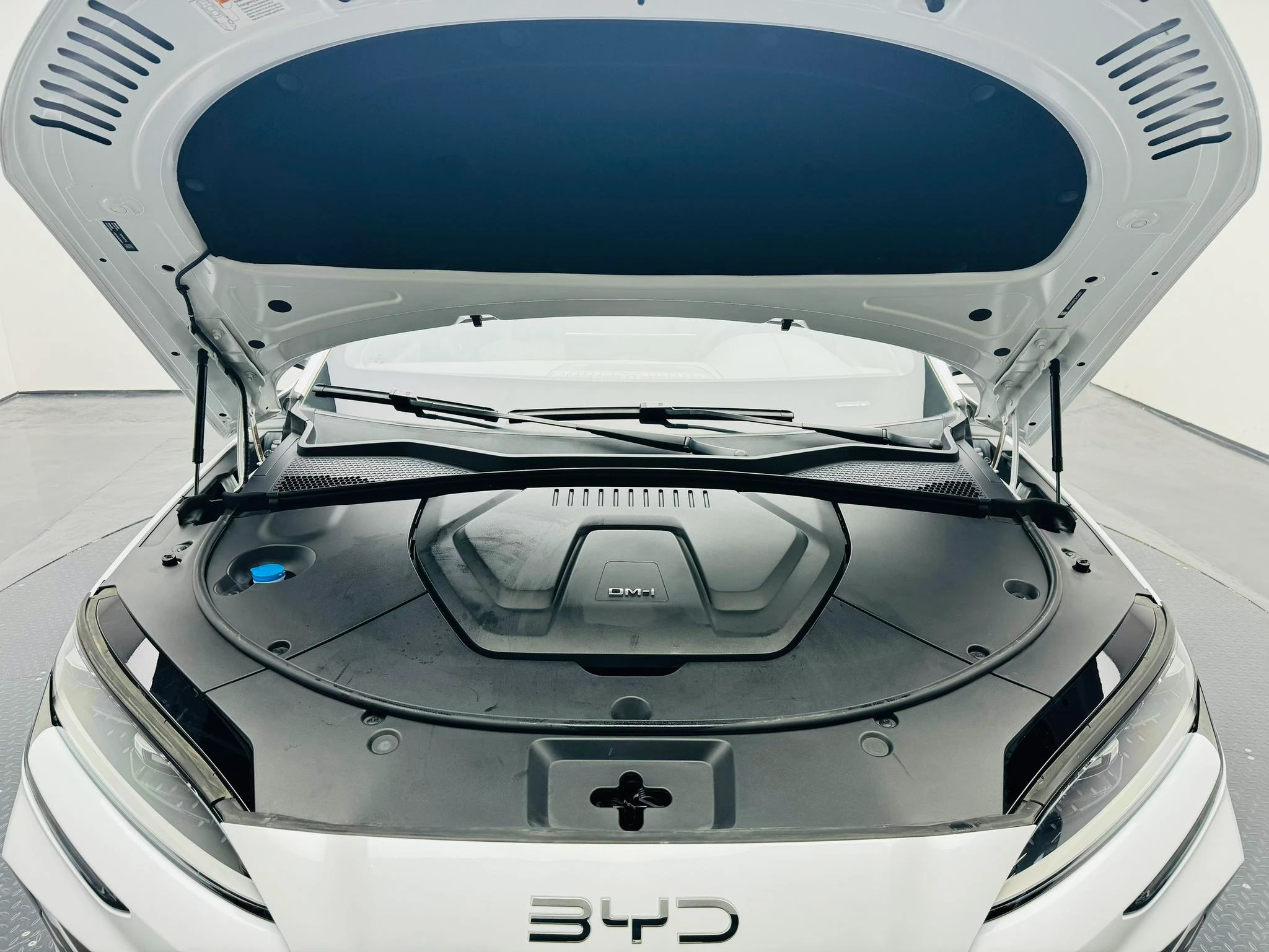 BYD Song PLUS DM, 2025 — фото 17