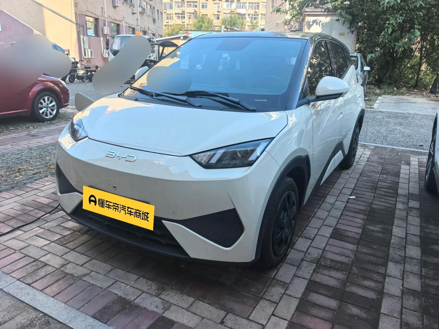 BYD seagull