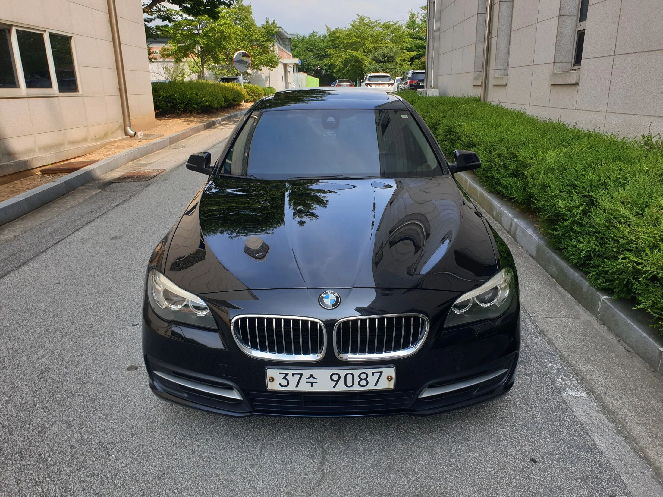 BMW 5-Series F10, 2014 — фото 15